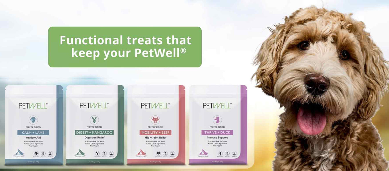 Functional Treats for Dogs PetWell