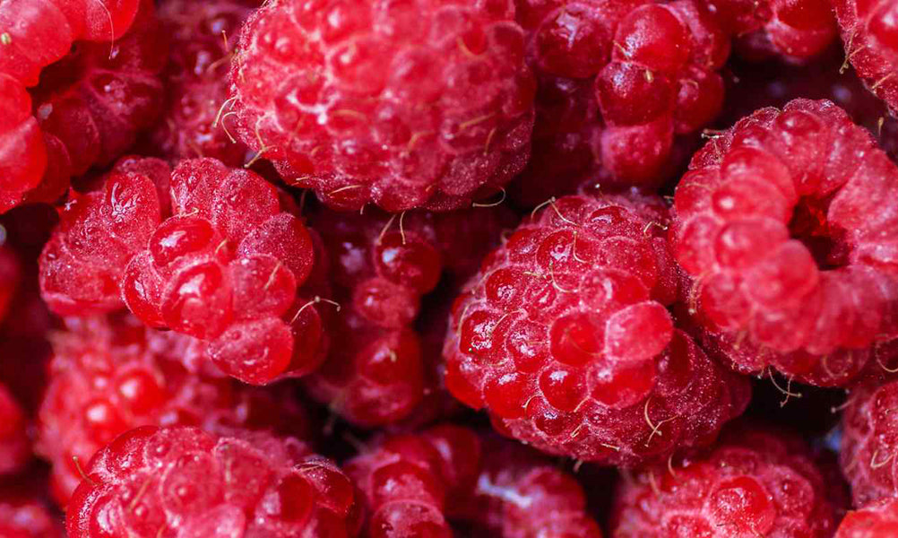 Can Dogs Eat Raspberries? by PetWell