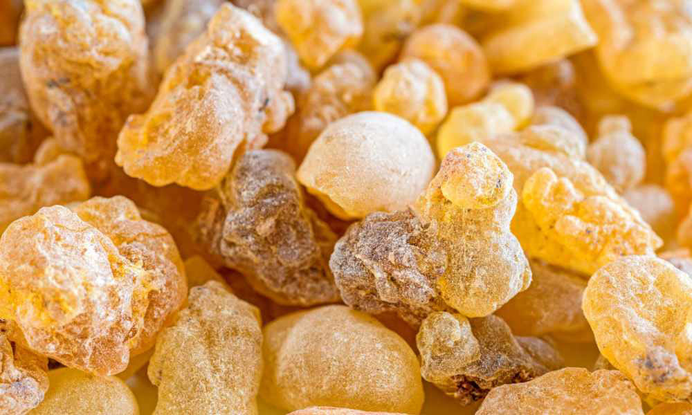 Is Boswellia Good For Dogs by PetWell