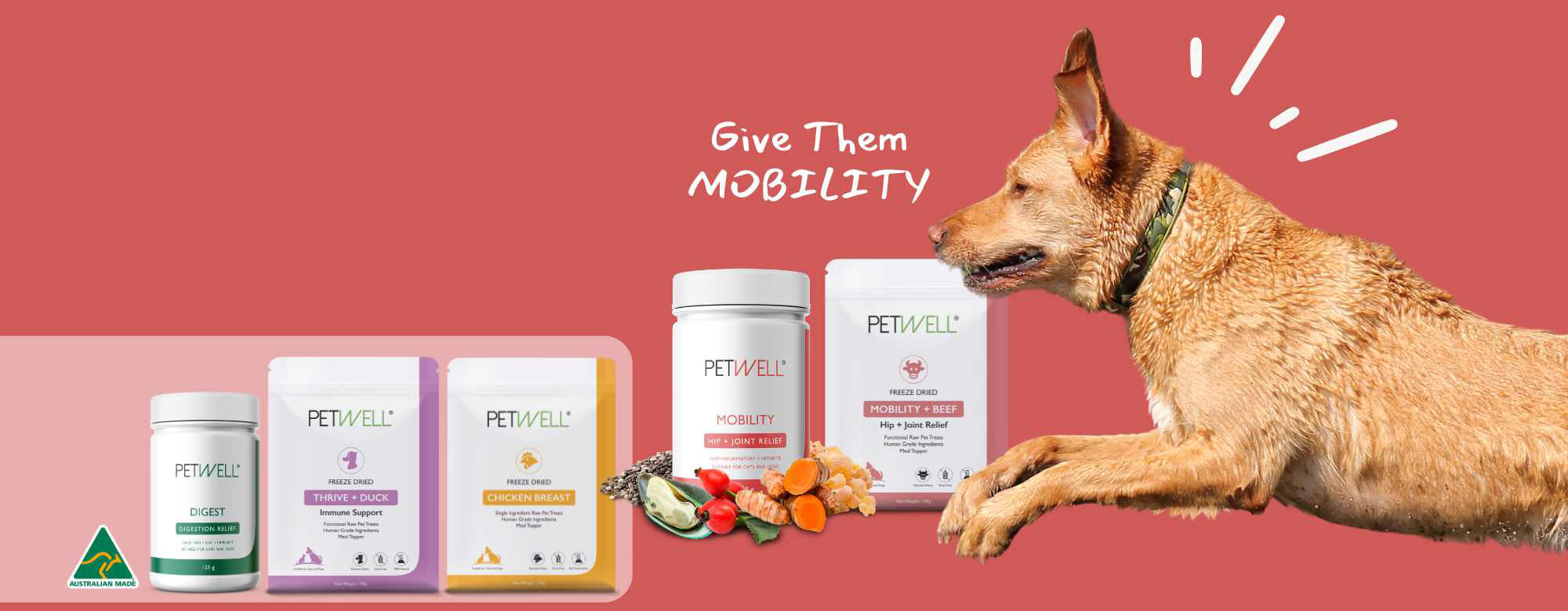 PetWell MOBILITY Banner