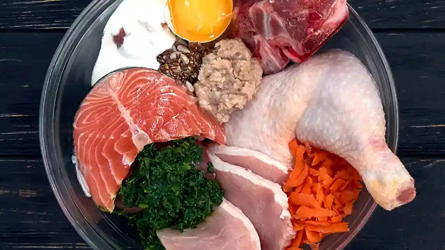 Balanced Diet for Dogs A Real Food Guide to Better Health by PetWell