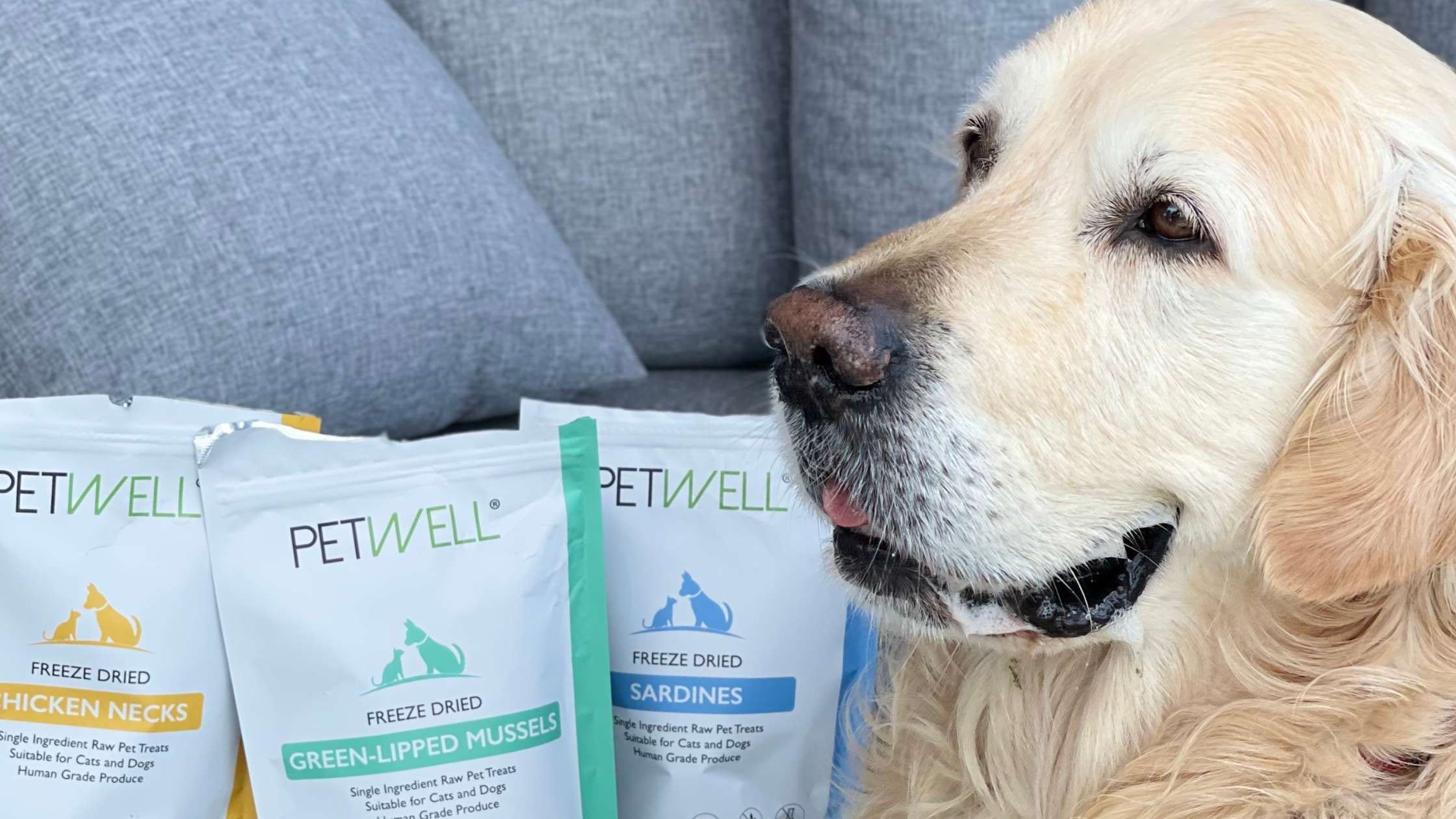 Best Dog Treats for Training by PetWell