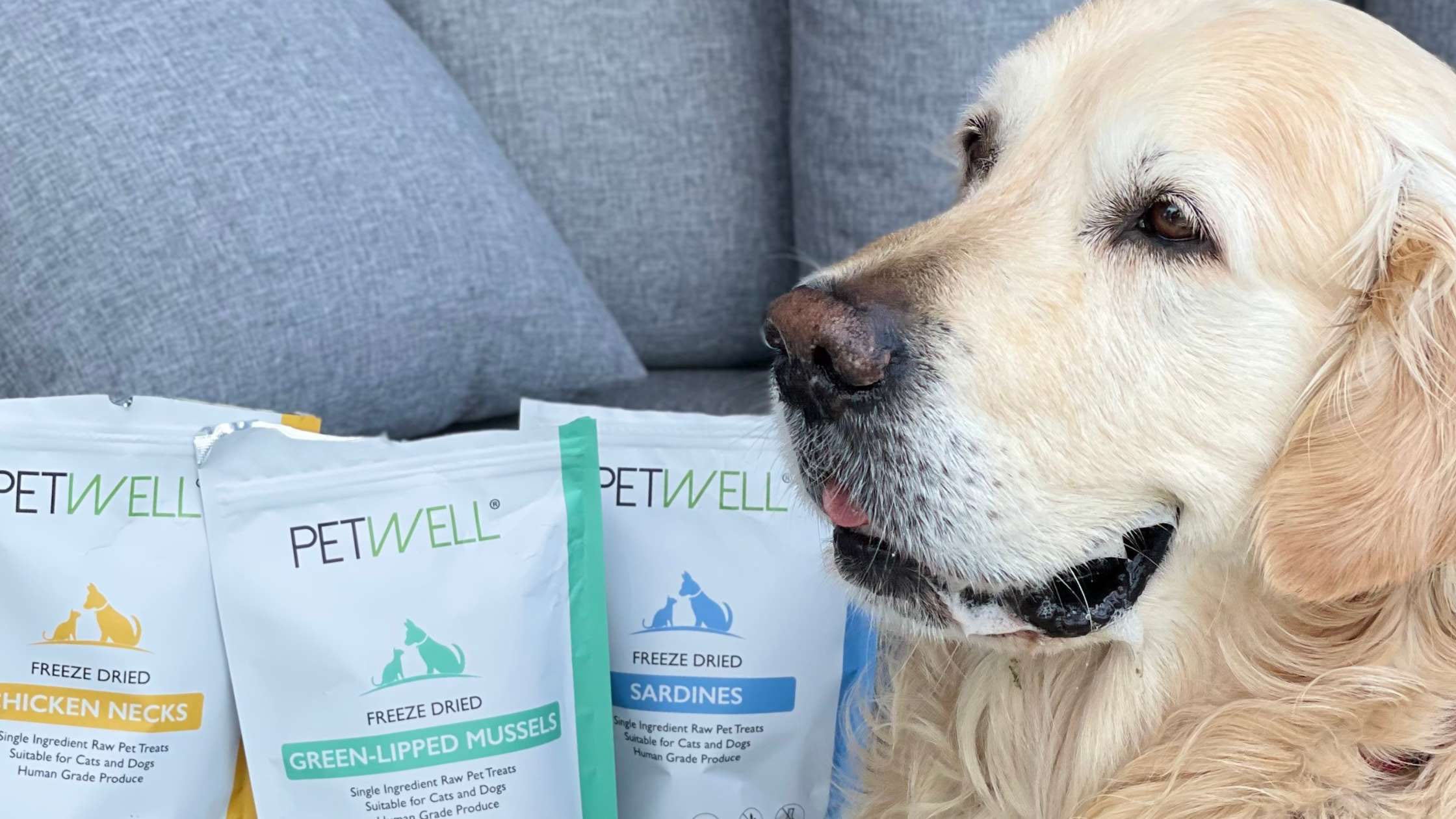 Best Dog Treats For Training best-dog-treats-for-training