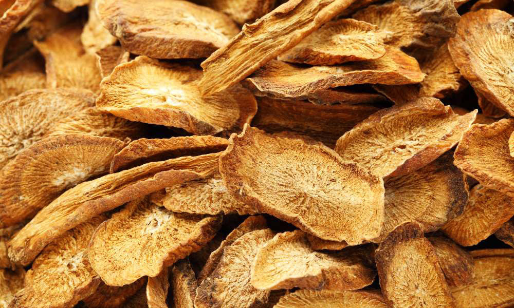 Can Dogs and Cats Have Burdock Root?