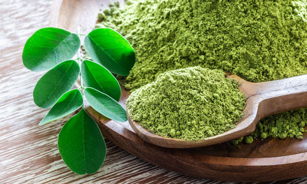 Can Dogs Have Moringa Leaf?