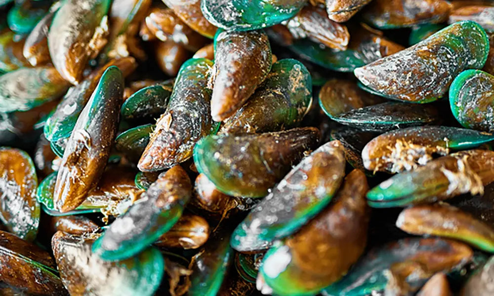 A close-up pile of cooked mussels with dark brown shells and bright green-green edges, glistening with oil.