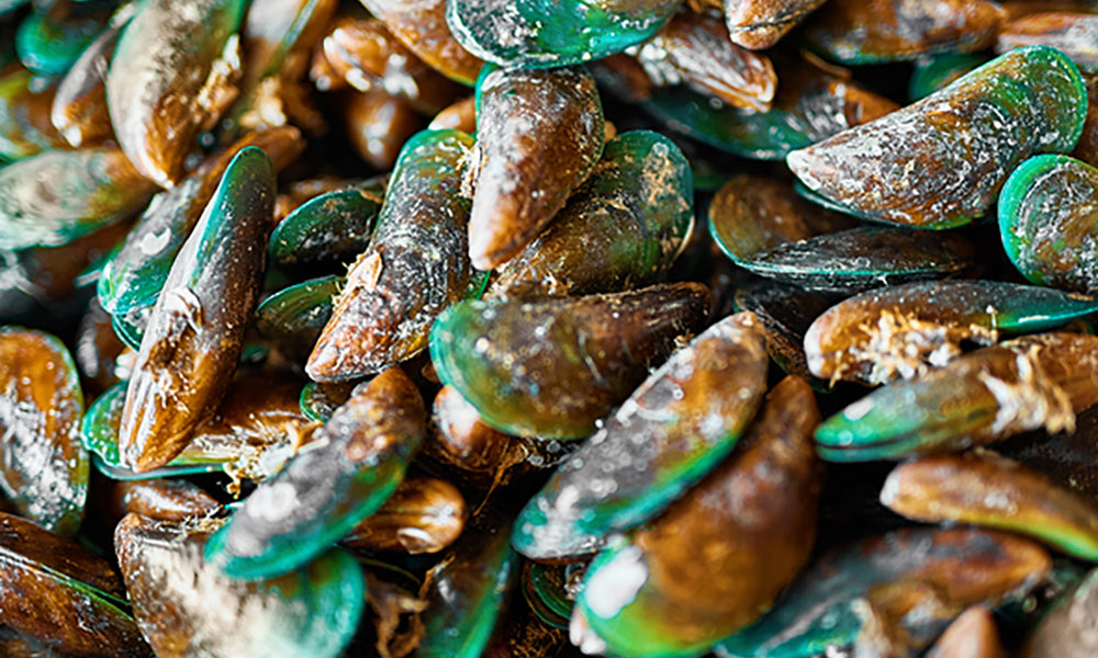 Green Lipped Mussel For Dogs by PetWell