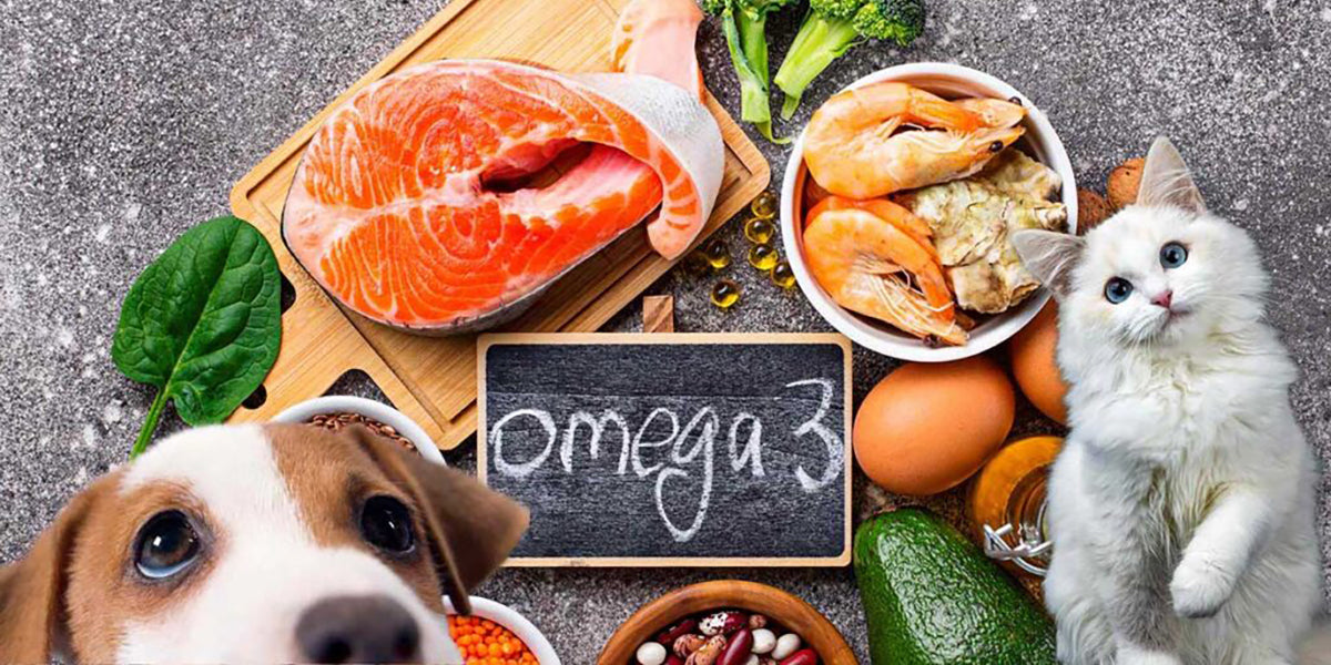 Omega-3-fatty-acid-foodOmega-3 Fatty Acids for Optimal Pet Health by PetWell