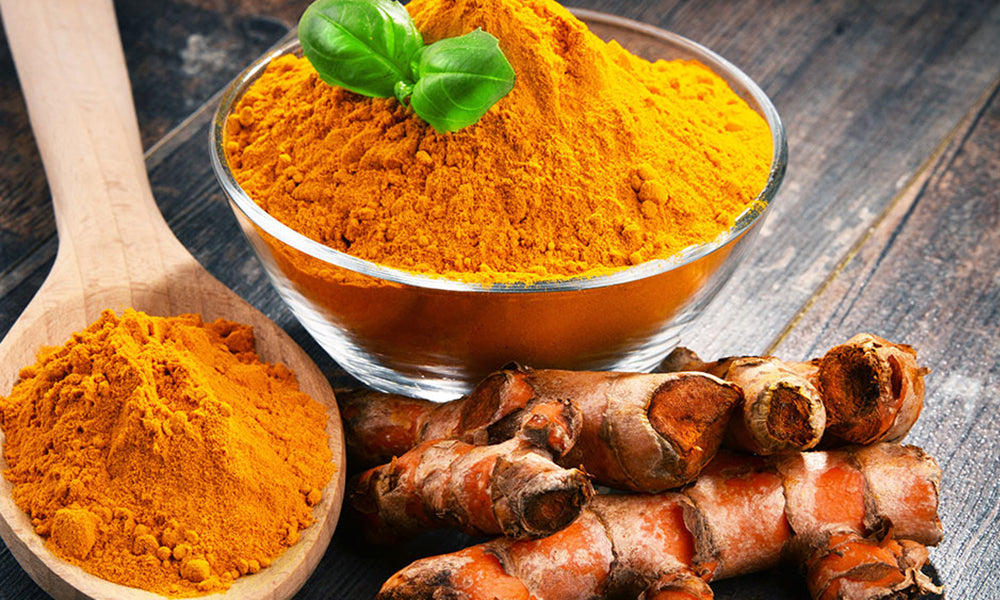 Turmeric for Dogs and Cats by PetWell