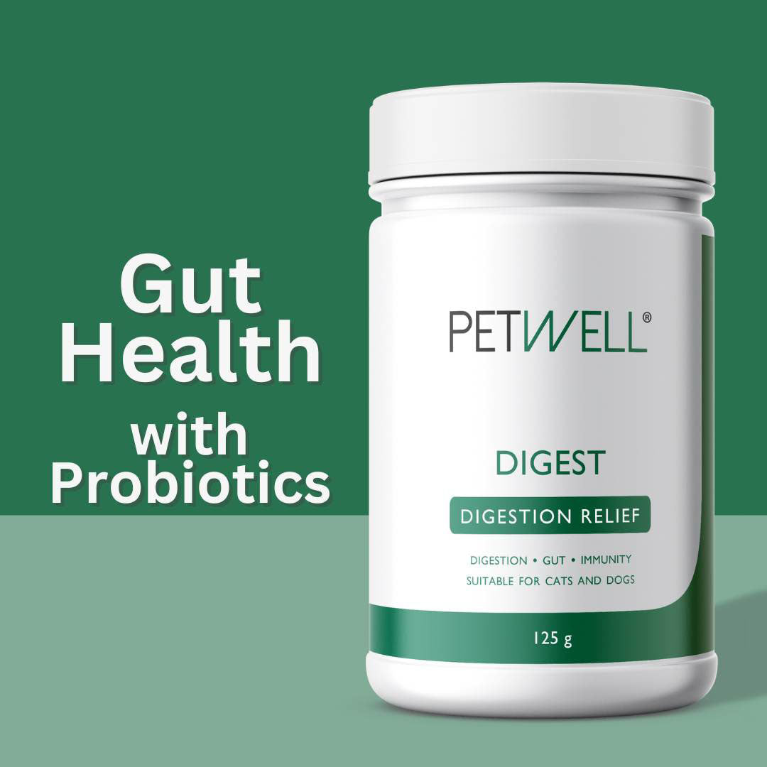 PetWell DIGEST Digestion Relief Supplement and Treats for Dogs and Cats