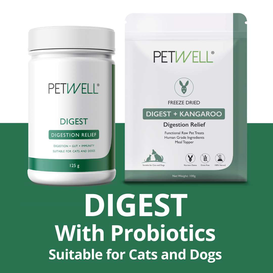 PetWell DIGEST Supplements