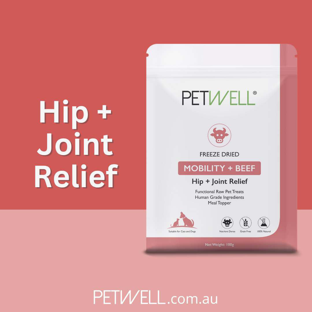 PetWell MOBILITY Functional Treats