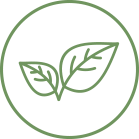 two plant leaves indicating all natural ingredients, no fillers or synthetic ingredients