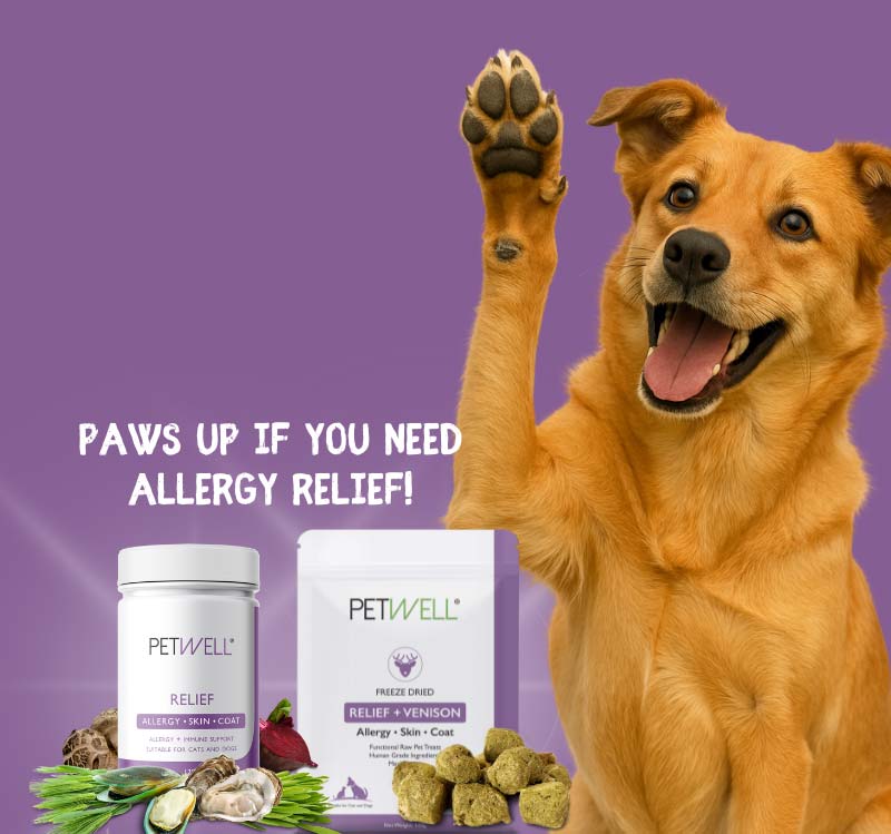 PetWell Allergy Relief Month 