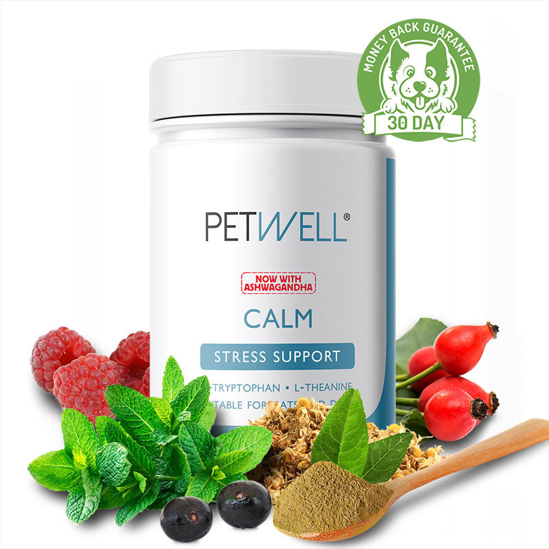 CALM-supplement-for-cats-and-dogs-with-anxiety-Formulated-by-a-Pet-Naturopath-using-all-natural-human-grade-ingredients-Ashwagandgha-30 day guarantee