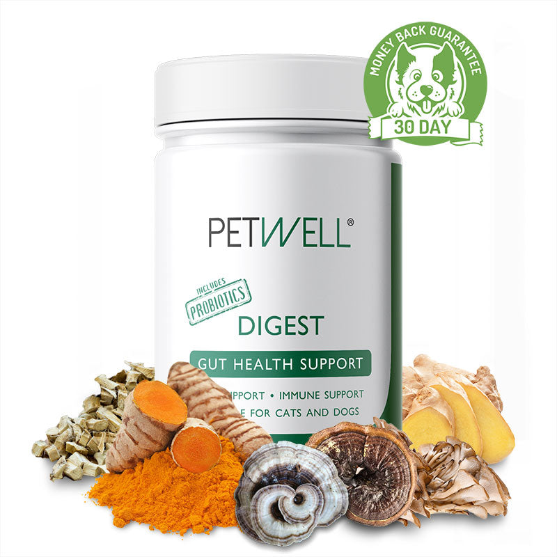 DIGEST-supplement-for-cats-and-dogs-with-gut-issues-Formulated-by-a-Pet-Naturopath-using-all-natural-human-grade-ingredients-30 day guarantee