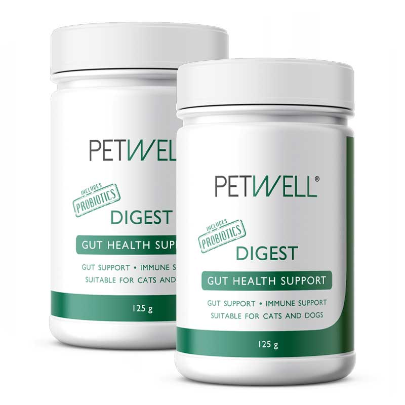 DIGEST-supplement-for-cats-and-dogs-with-gut-issues-Formulated-by-a-Pet-Naturopath-using-all-natural-human-grade-ingredients-bundle