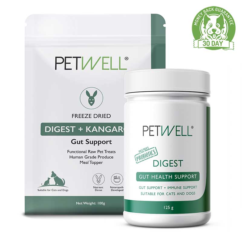 DIGEST-supplement-for-cats-and-dogs-with-gut-issues-Formulated-by-a-Pet-Naturopath-using-all-natural-human-grade-ingredients-treat-bundle-30 day guarantee