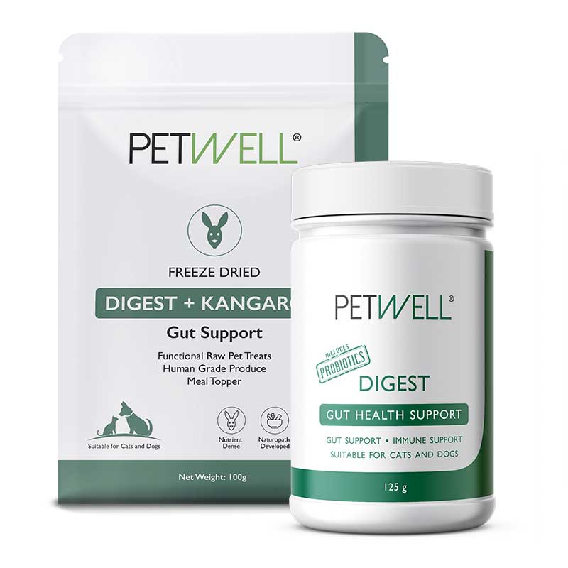 DIGEST-supplement-for-cats-and-dogs-with-gut-issues-Formulated-by-a-Pet-Naturopath-using-all-natural-human-grade-ingredients-treat-bundle