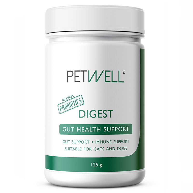 DIGEST-supplement-for-cats-and-dogs-with-gut-issues-Formulated-by-a-Pet-Naturopath-using-all-natural-human-grade-ingredients