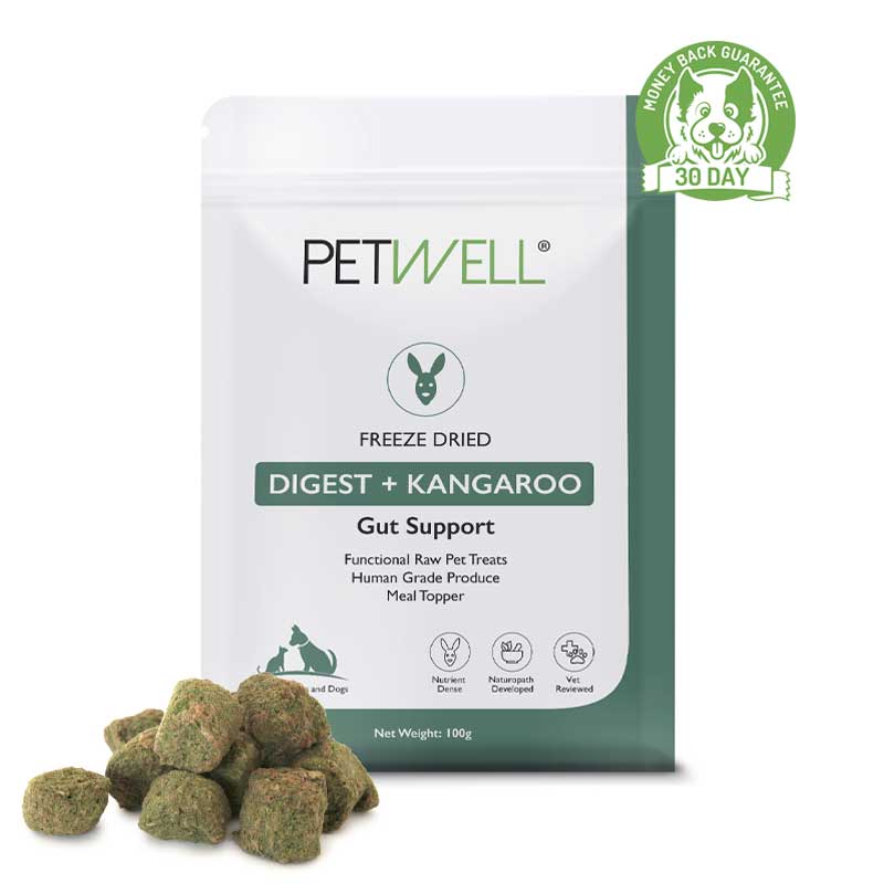 DIGEST_Kangaroo-Functional-Healthy-Treats-Freeze-dried-protein-infused-with-PetWell-DIGEST-supplement-for-healthy-gut-for-cats-and-dogs-with-gut-health-issues-30 day guarantee