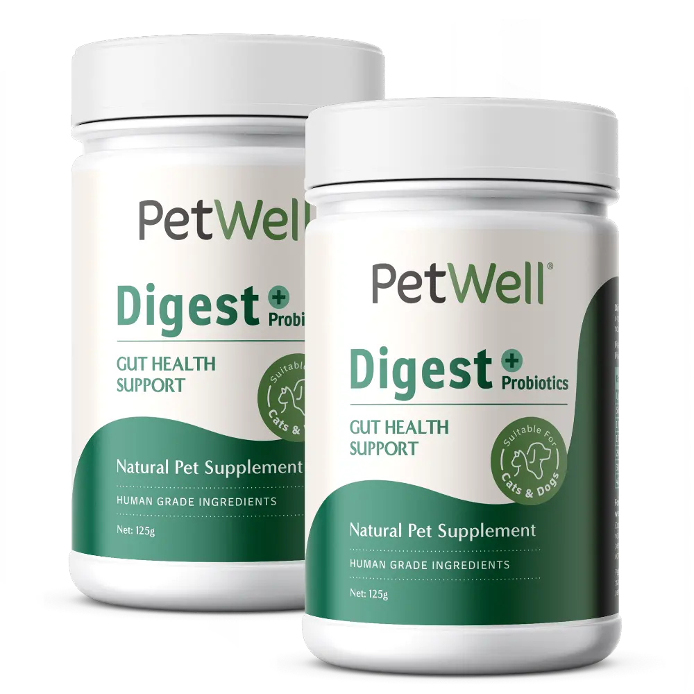 PetWell Digest supplement bundle of 2 canisters