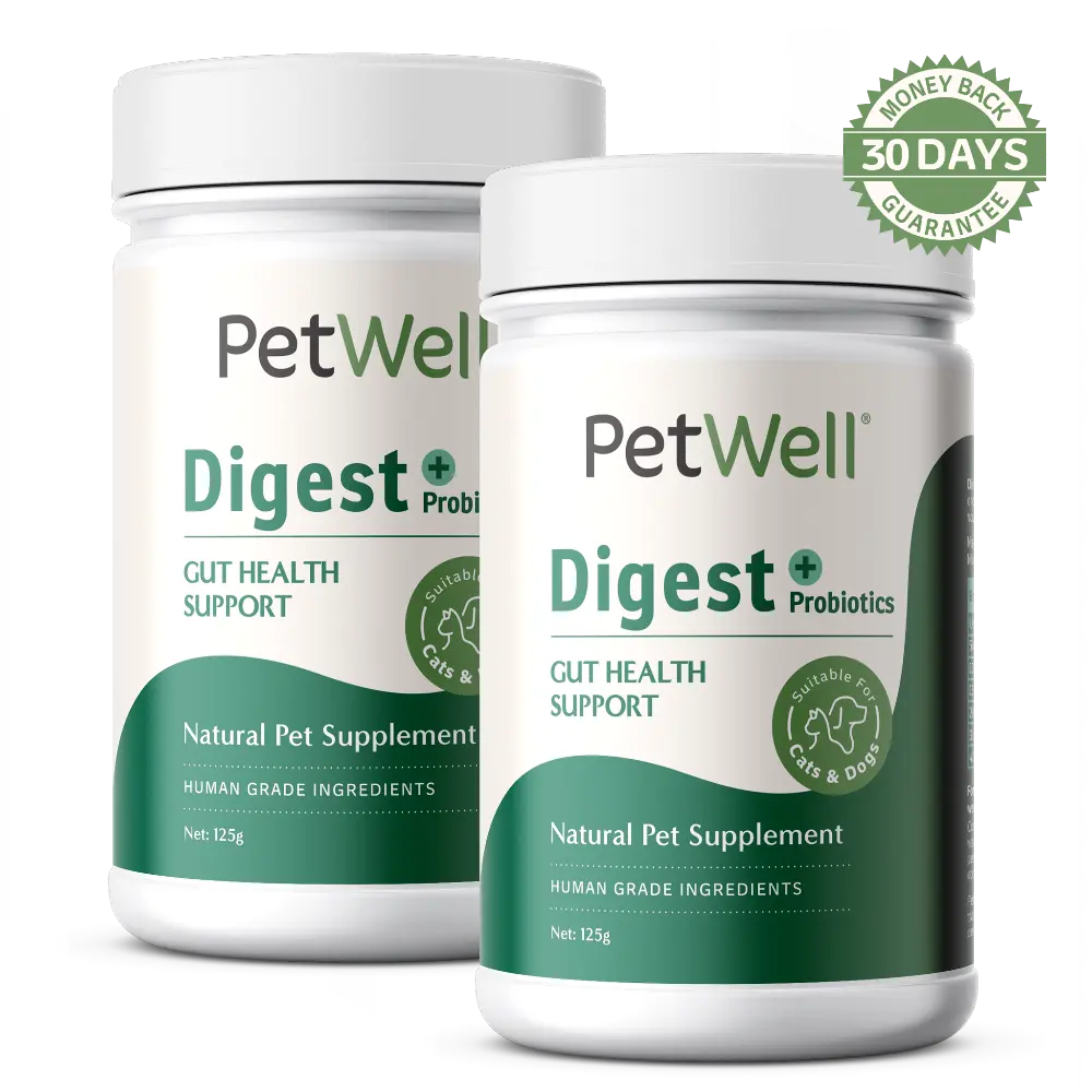 PetWell Digest supplement bundle of 2 canisters with 30 day money back guarantee
