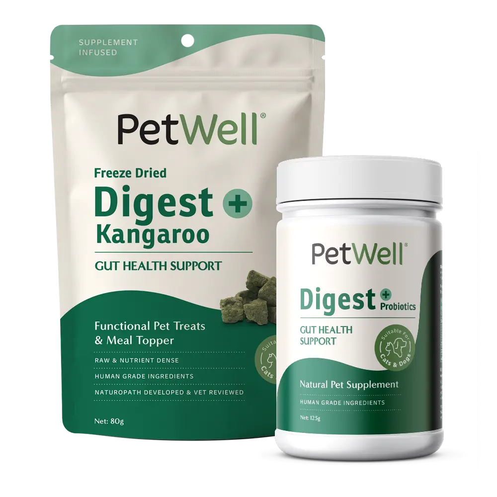 PetWell Digest supplement and Digest + Kangaroo functional treat packs 