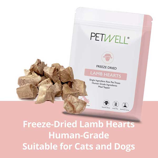 Freeze-dried lamb hearts natural taurine-rich organ treats for pets by PetWell. Human grade treats