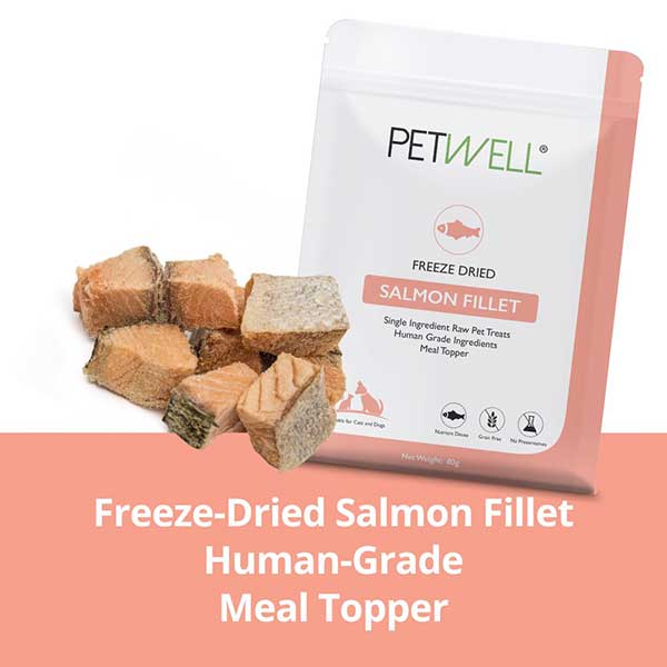 Freeze-dried salmon fillet treats for dogs and cats high in Omega-3 by PetWell. Human grade meal topper