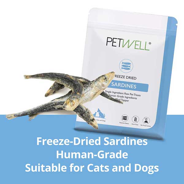 Freeze-dried whole sardines for dogs and cats rich in Omega-3 by PetWell. human grade treats