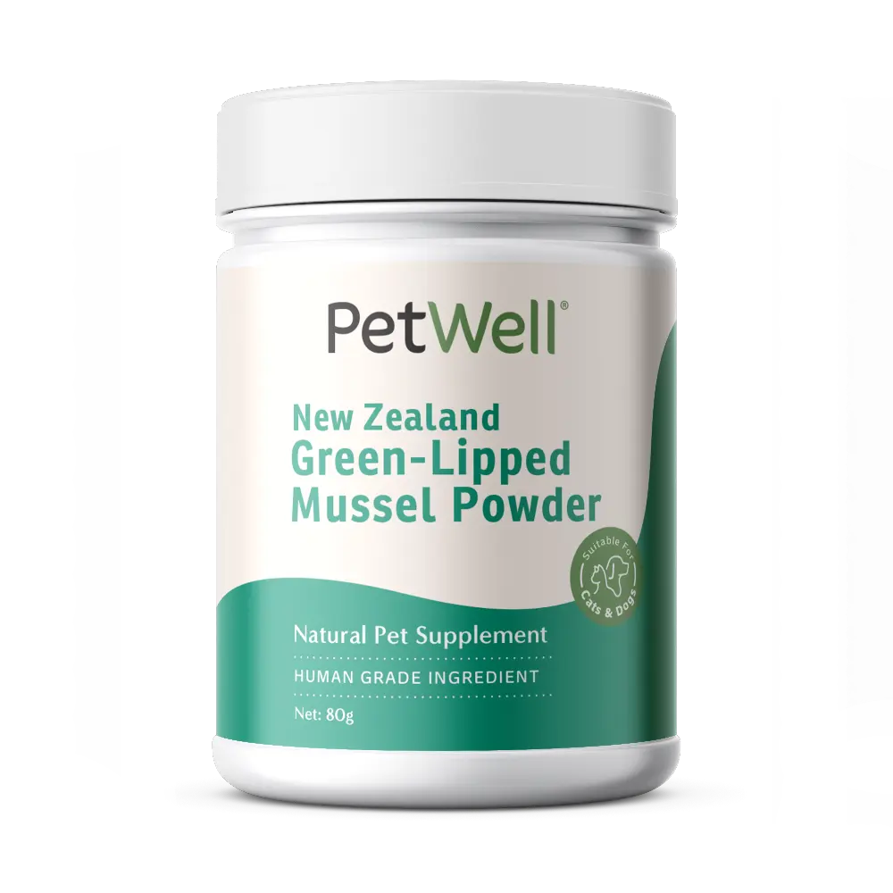 New Zealand Green-Lipped Mussel powder supplement 80g