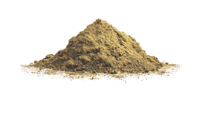 New Zealand Green-Lipped Mussel powder supplement on a white background