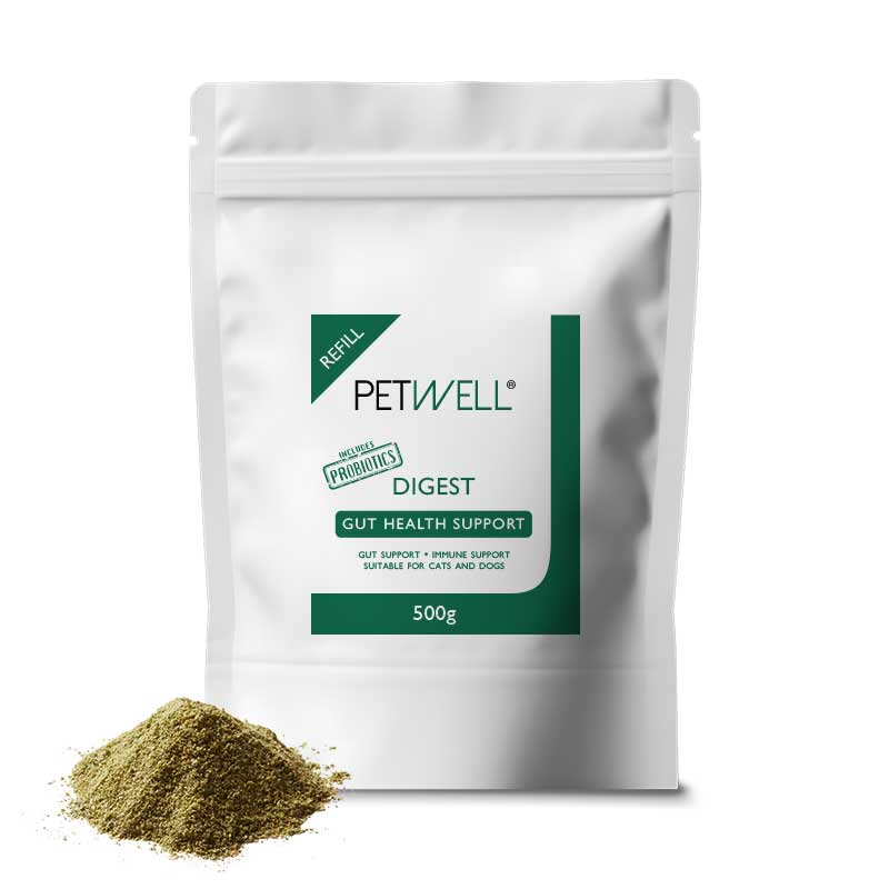 Gut-Health-Supplement-for-Dogs-_-Cats-500g-PetWell