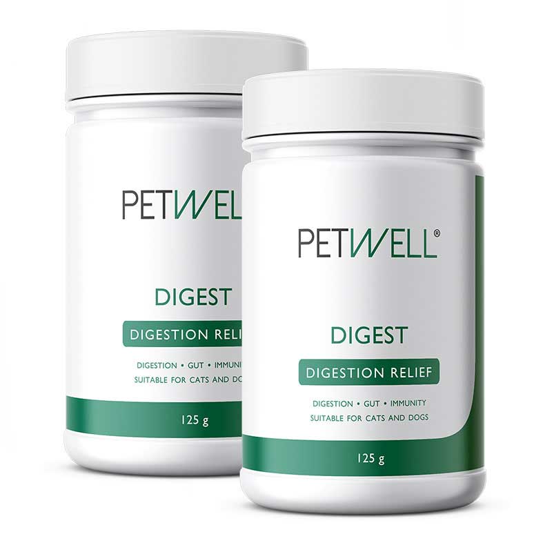 Gut health supplement for dogs and cats with gut issues - PetWell DIGEST. Formulated by a Pet Naturopath using all natural human grade ingredients 125g double pack