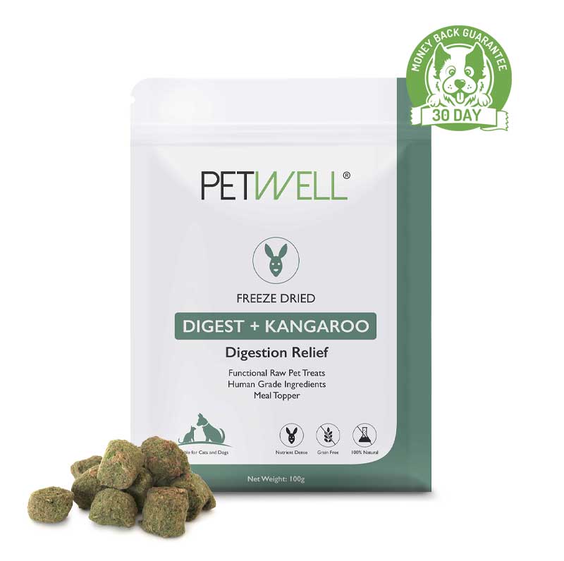 Gut health Functional Healthy Treats Freeze-dried protein infused with PetWell DIGEST supplement for healthy gut for cats and dogs with gut health issues
