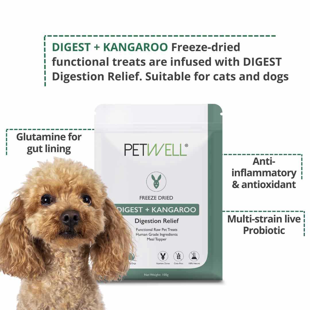 Gut health Functional Healthy Treats Freeze-dried kangaroo infused with PetWell DIGEST supplement for healthy gut for cats and dogs with gut health issues