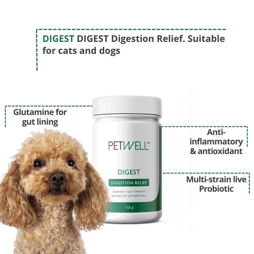 Gut health supplement for dogs and cats with gut issues - PetWell DIGEST. Formulated by a Pet Naturopath using all natural human grade ingredients