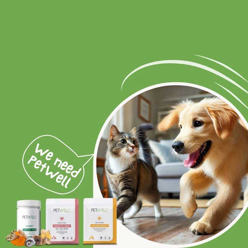 PetWell Healthy Treats and Supplements for dogs and cats made in Australia 