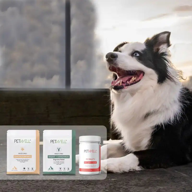 Healthy treats and supplements that keep your PetWell mob