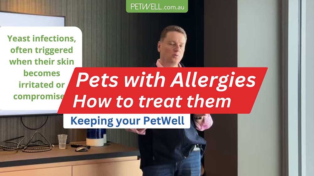 Keeping-Your-PetWell-with-Dr-Moss-on-Pets-with-Allergies