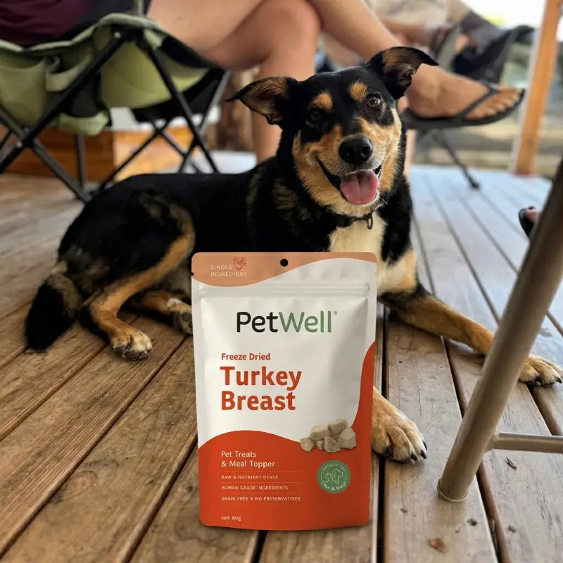 Dog sitting next to a package of PetWell Freeze Dried Turkey Breast pet treat on a wooden deck.