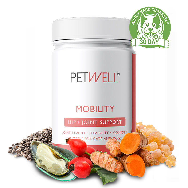 MOBILITY-supplement-for-cats-and-dogs-with-Joint-issues.-Formulated-by-a-Pet-Naturopath_-using-all-natural-human-grade-ingredients-30 day guarantee