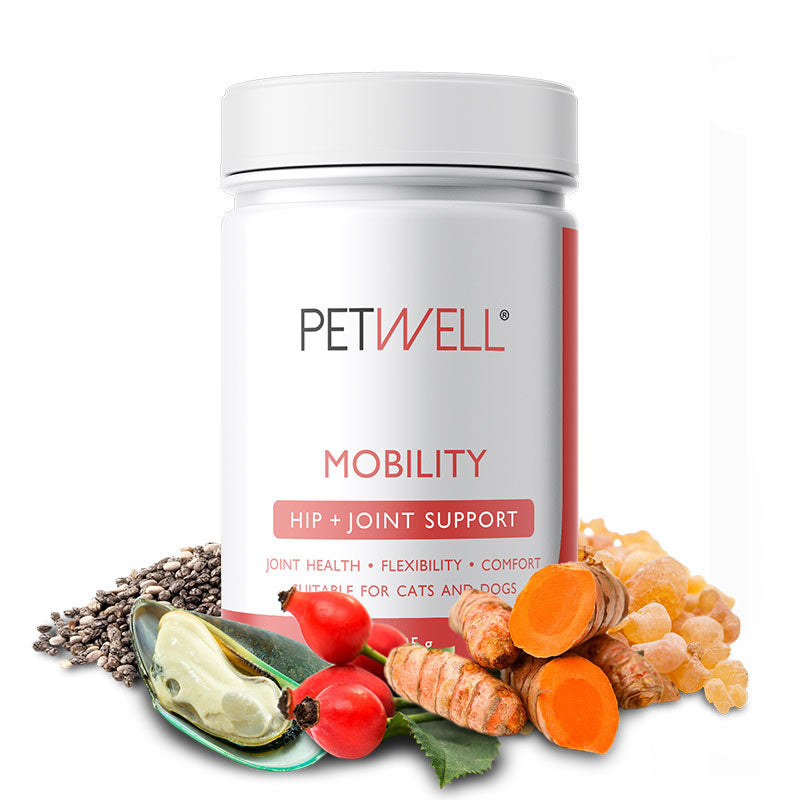 MOBILITY-supplement-for-cats-and-dogs-with-Joint-issues.-Formulated-by-a-Pet-Naturopath_-using-all-natural-human-grade-ingredients