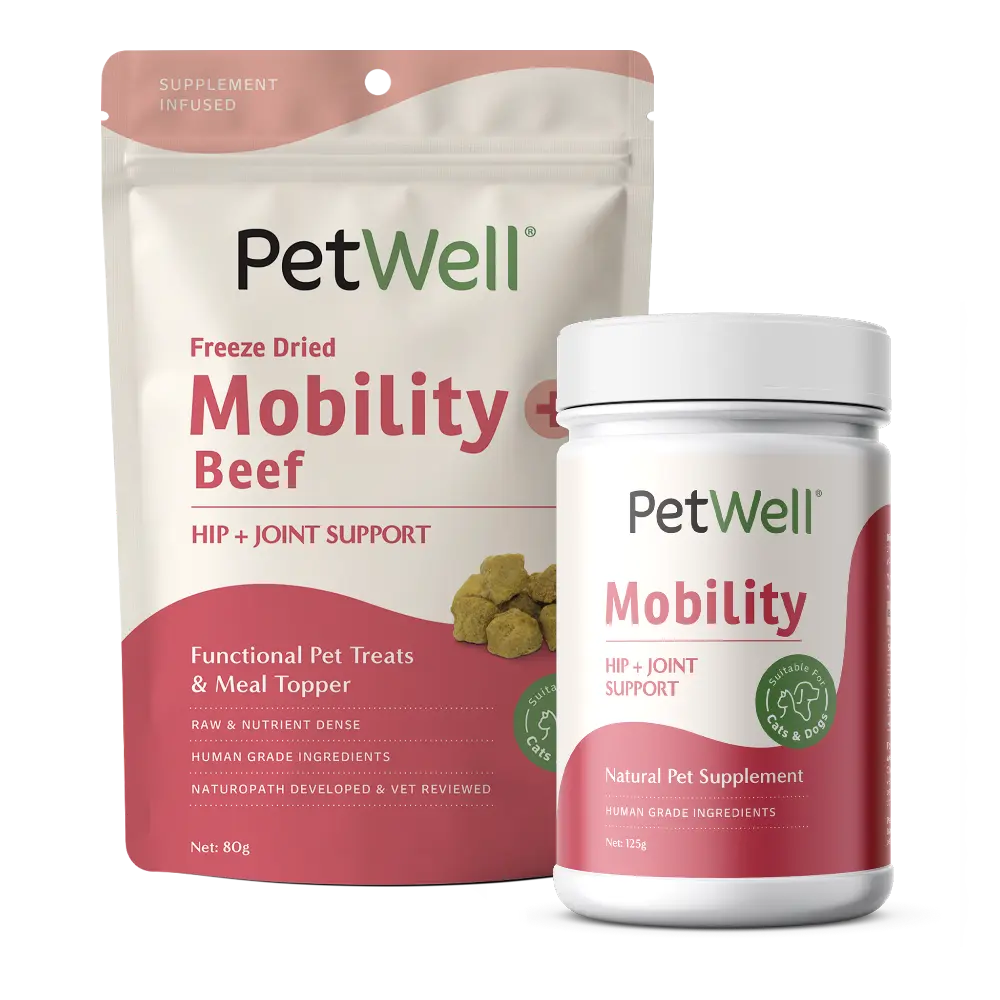 PetWell Mobility supplement and Mobility + Beef functional treat packs 