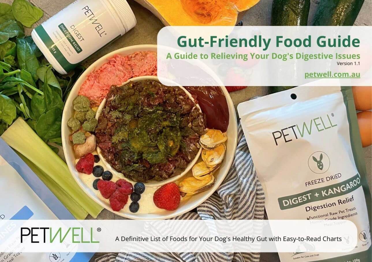 PetWell-Gut-Friendly-Food-Guide-DIGEST
