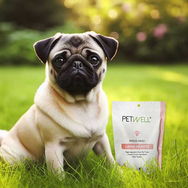 PetWell-freeze-dried-lamb-hearts-natural-taurine-rich-organ-treats-for-pets-pug