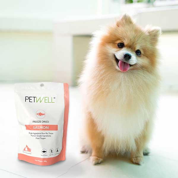 PetWell-freeze-dried-salmon-fillet-treats-for-dogs-and-cats-high-in-Omega-3-pomeranian