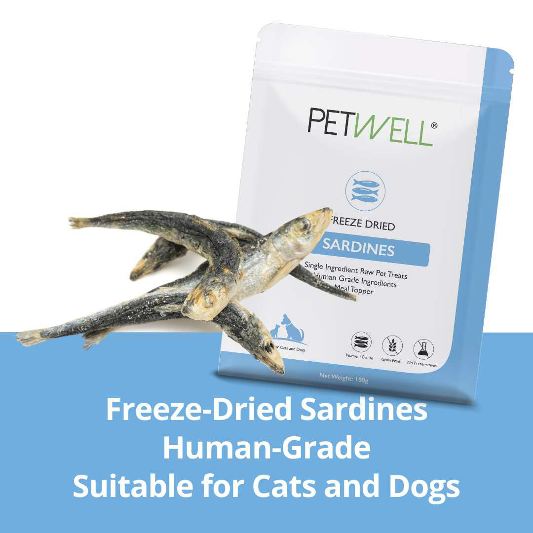 PetWell freeze dried sardines pack