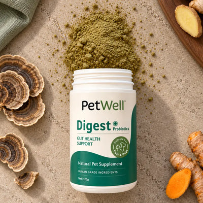 A white jar of PetWell Digest Probiotics pet supplement with a green and white label, surrounded by herbal ingredients including mushrooms, ginger, and turmeric on a textured beige surface.